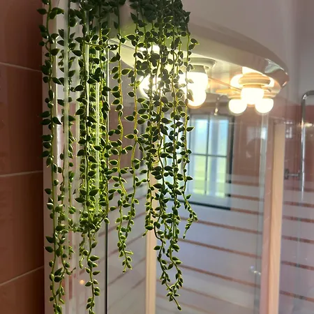 別荘 Ninho Da Irene *